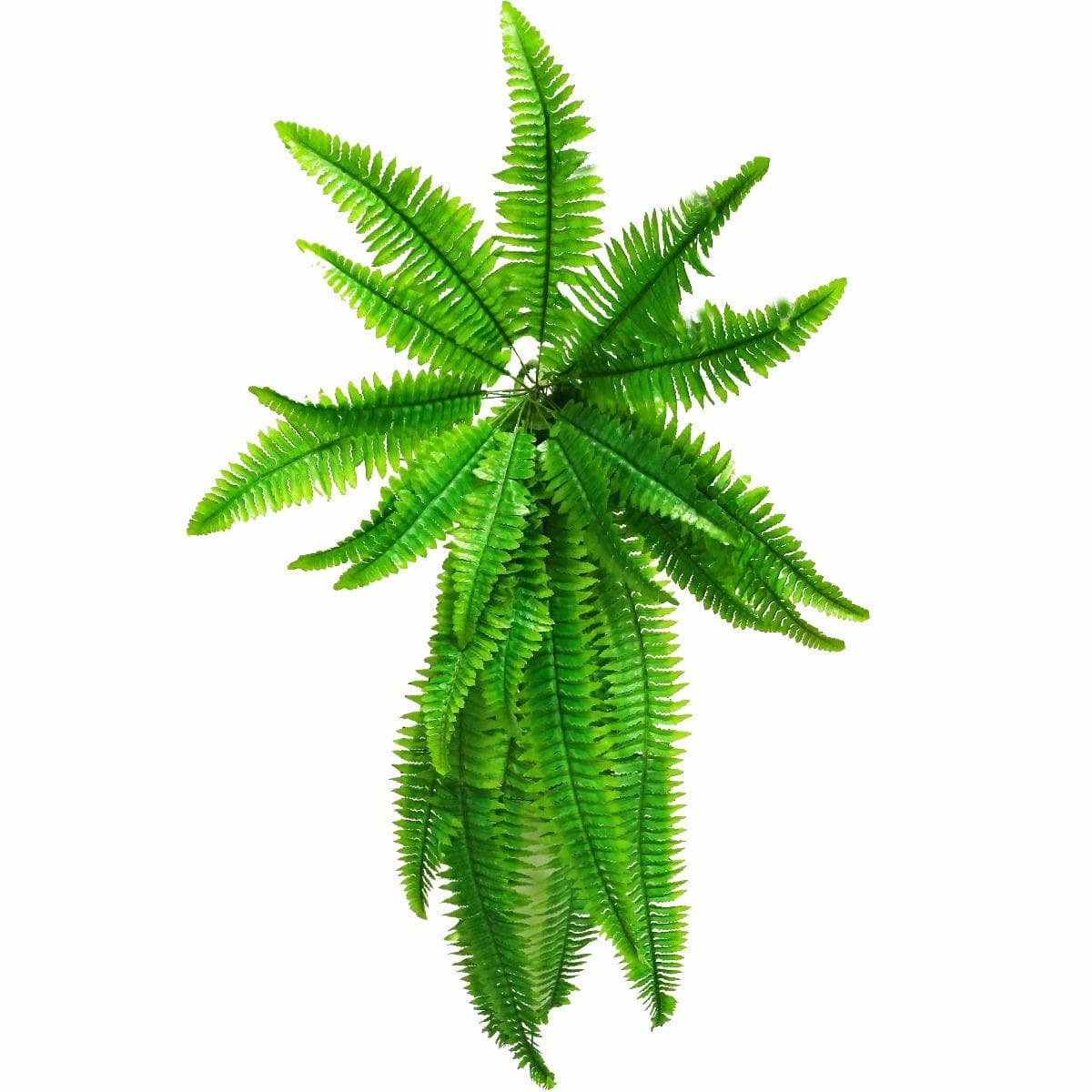 Artificial Boston Hanging Fern 102cm - V77-1012587 Artificial Boston Hanging Fern 102cm - Image 2