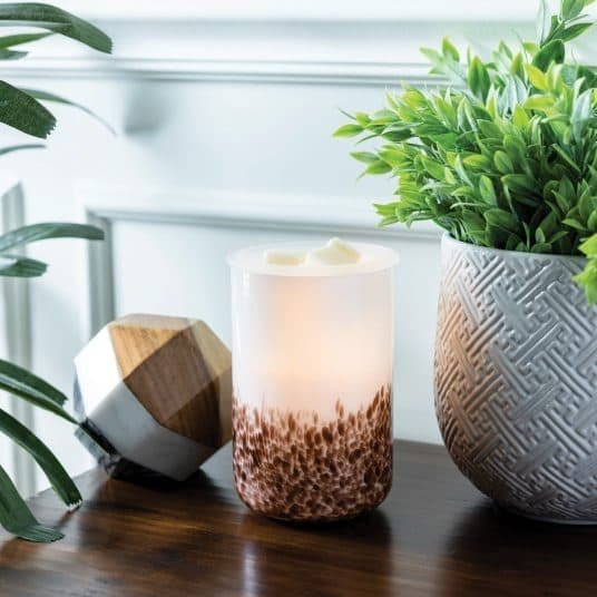 Tiger Shell Glass Illumination Warmer - V1049-GMTGS V1049 GMTGS 202508141740 01