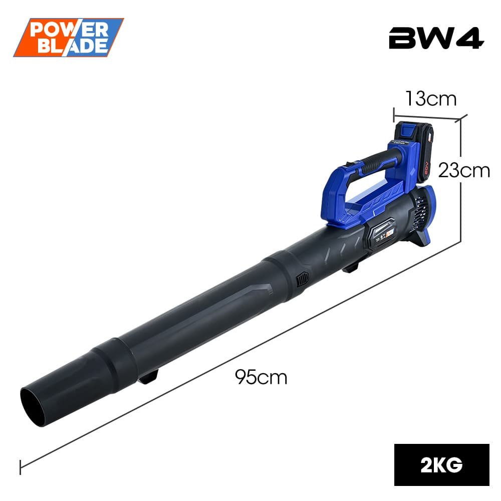 V219 BLWHCSPBBL2A 225608 01