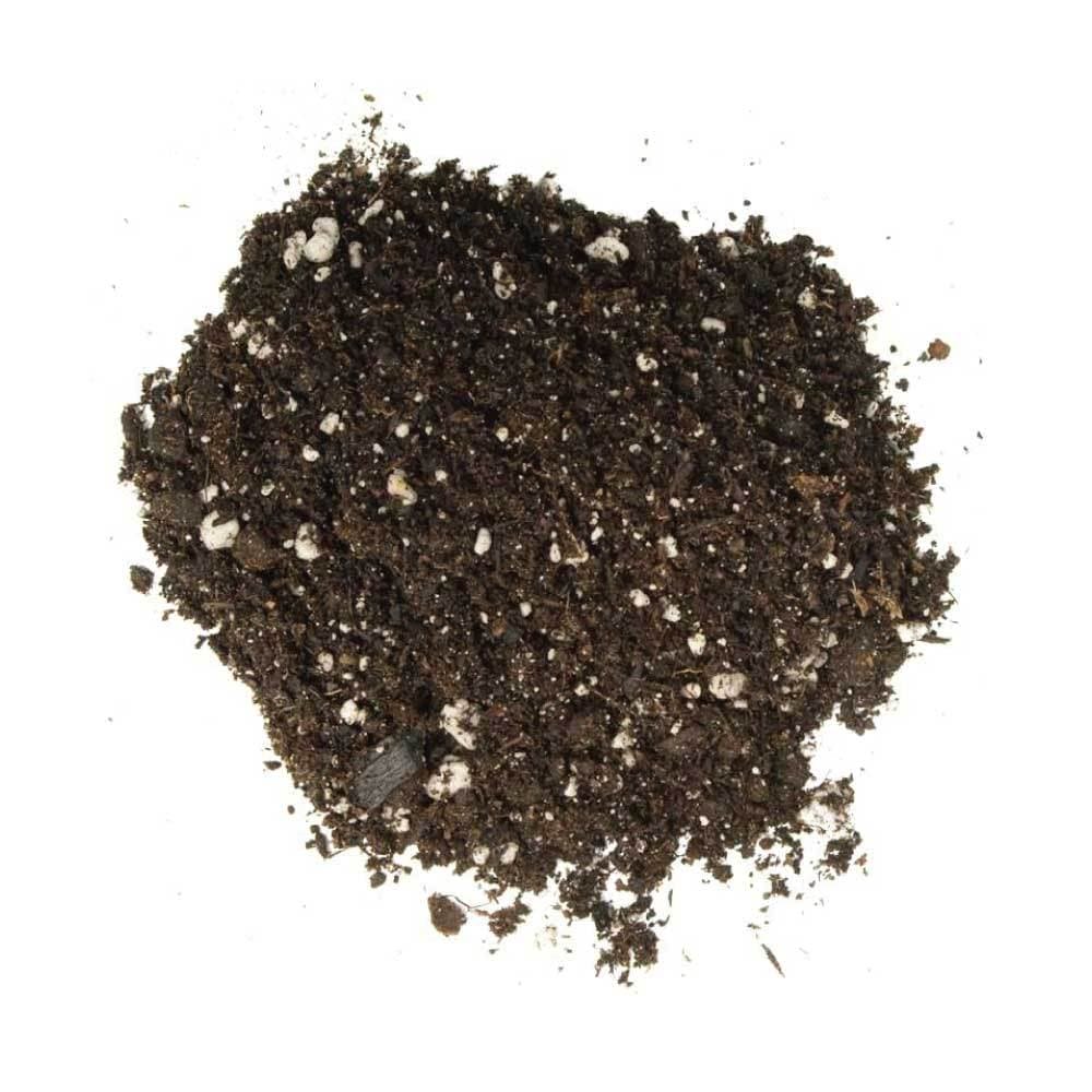 10L Premium Coco Perlite Mix - 70% Coir Husk 30% Hydroponic Plant Growing Medium - V238-SUPDZ-31990132179024 10L Premium Coco Perlite Mix - 70% Coir Husk 30% Hydroponic Plant Growing Medium - Image 3