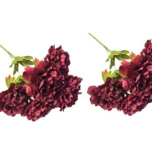 V292 HD PLANT BLOOMPEONY 45CM MAROON SO2 202509031647 00