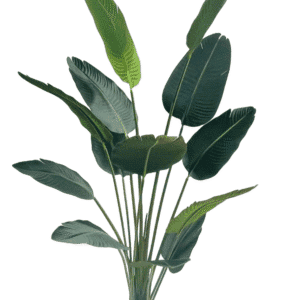 V292 HD PLANT PARADISE 180CM 191531 00