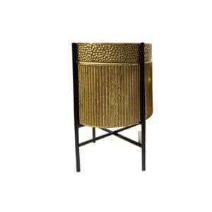 V292 HD PLANTER L REX GOLD 202509041436 00