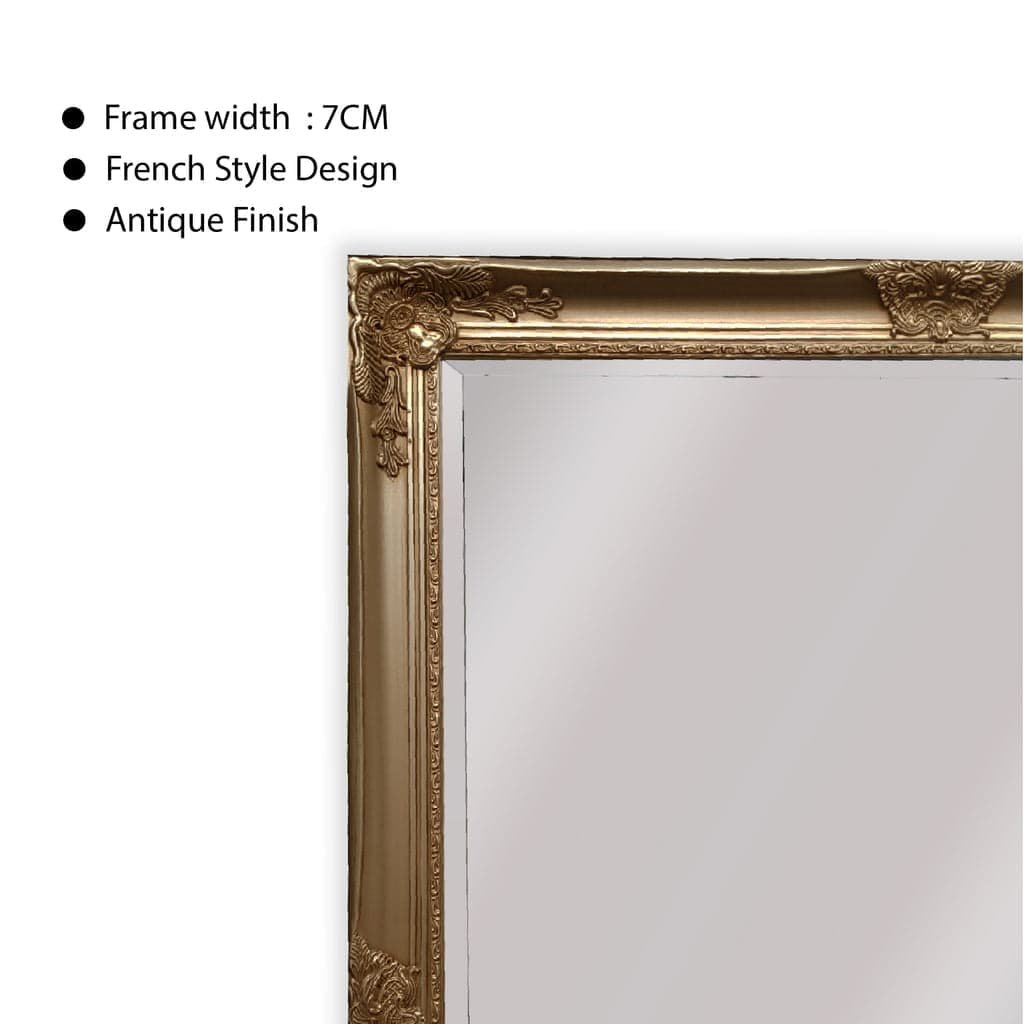 French Provincial Ornate Mirror - Champagne - Medium 70cm x 170cm - V292-MIRR-FRN007 French Provincial Ornate Mirror - Champagne - Medium 70cm x 170cm - Image 4