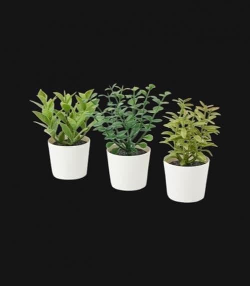 3 Pack of Artificial Herb Potted Plants in White Plastic 5cm Pot Interior Decoration - V382-3HERBINPOTWHITE V382 3HERBINPOTWHITE 202504030821 04