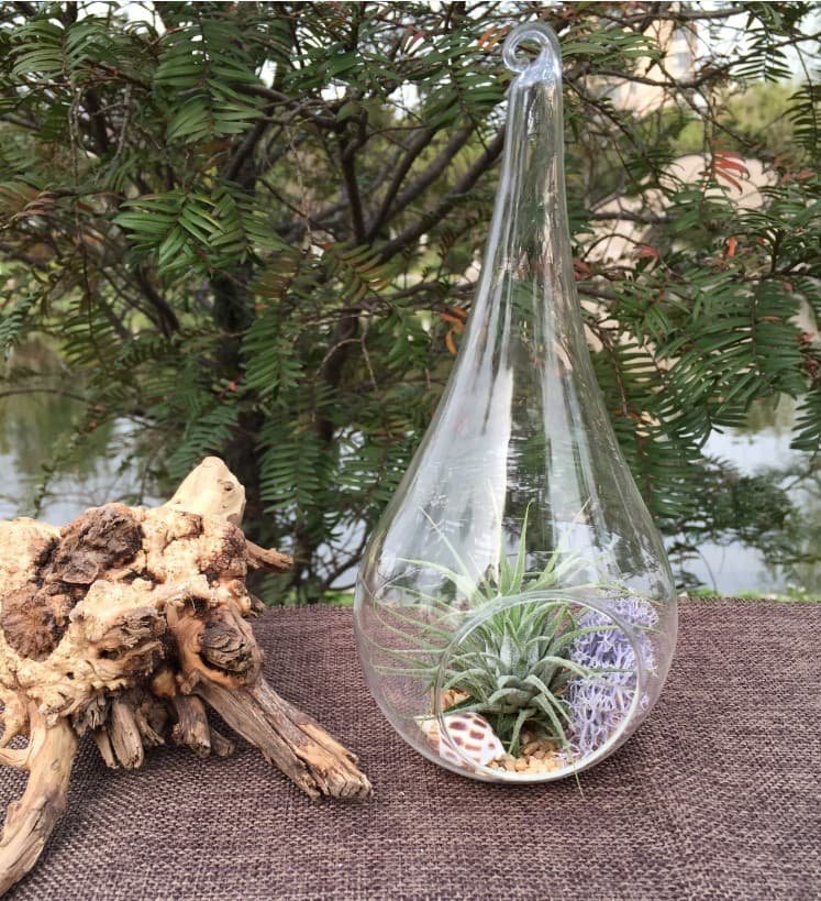 4 Pack of Hanging Clear Glass Tealight Candle Holder Tear Drop Pear Hour Glass Shape - 20cm High Terrarium Plant Mini Garden Holder Decoration Craft Gift - V382-TRDRPLGEX4 4 Pack of Hanging Clear Glass Tealight Candle Holder Tear Drop Pear Hour Glass Shape - 20cm High Terrarium Plant Mini Garden Holder Decoration Craft Gift - Image 5