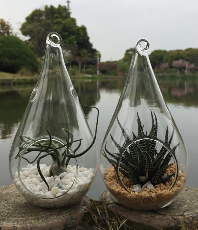 4 Pack of Hanging Clear Glass Tealight Candle Holder Tear Drop Pear Hour Glass Shape - 20cm High Terrarium Plant Mini Garden Holder Decoration Craft Gift - V382-TRDRPLGEX4 4 Pack of Hanging Clear Glass Tealight Candle Holder Tear Drop Pear Hour Glass Shape - 20cm High Terrarium Plant Mini Garden Holder Decoration Craft Gift - Image 6