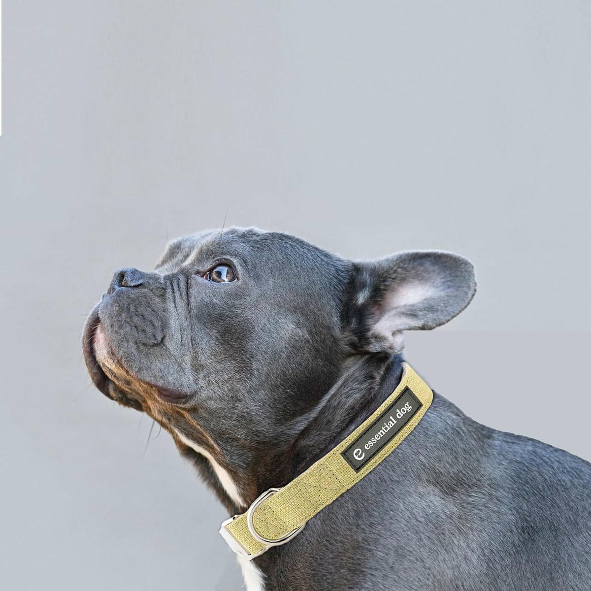 Natural Hemp & Cotton Dog Collar (Grass Green) - V422-HC-G-L Natural Hemp & Cotton Dog Collar (Grass Green) - Image 2