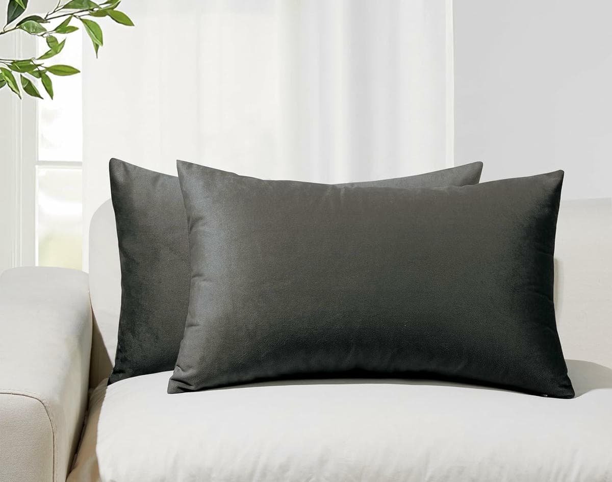 Twin-Pack Velvet Cushion Covers - Soft Microfibre Cushion Covers with Hidden Zipper (Dark Grey, 30cm*50cm) - V439-VEL-DARK GREY-30 V439 VEL DARKGREY 30 202506190354 00
