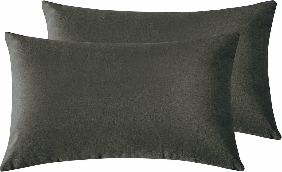 Twin-Pack Velvet Cushion Covers - Soft Microfibre Cushion Covers with Hidden Zipper (Dark Grey, 30cm*50cm) - V439-VEL-DARK GREY-30 V439 VEL DARKGREY 30 202506190354 01