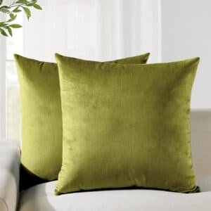 V439 VEL GREEN 65 202506190347 00