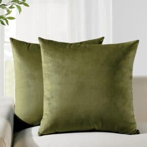 V439 VEL OLIVE 45 202506190403 00