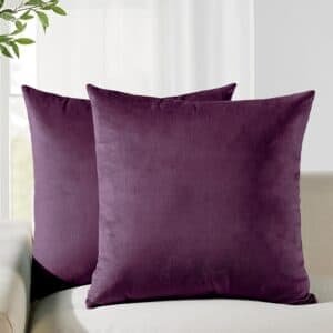 V439 VEL PLUM 65 202506190348 00
