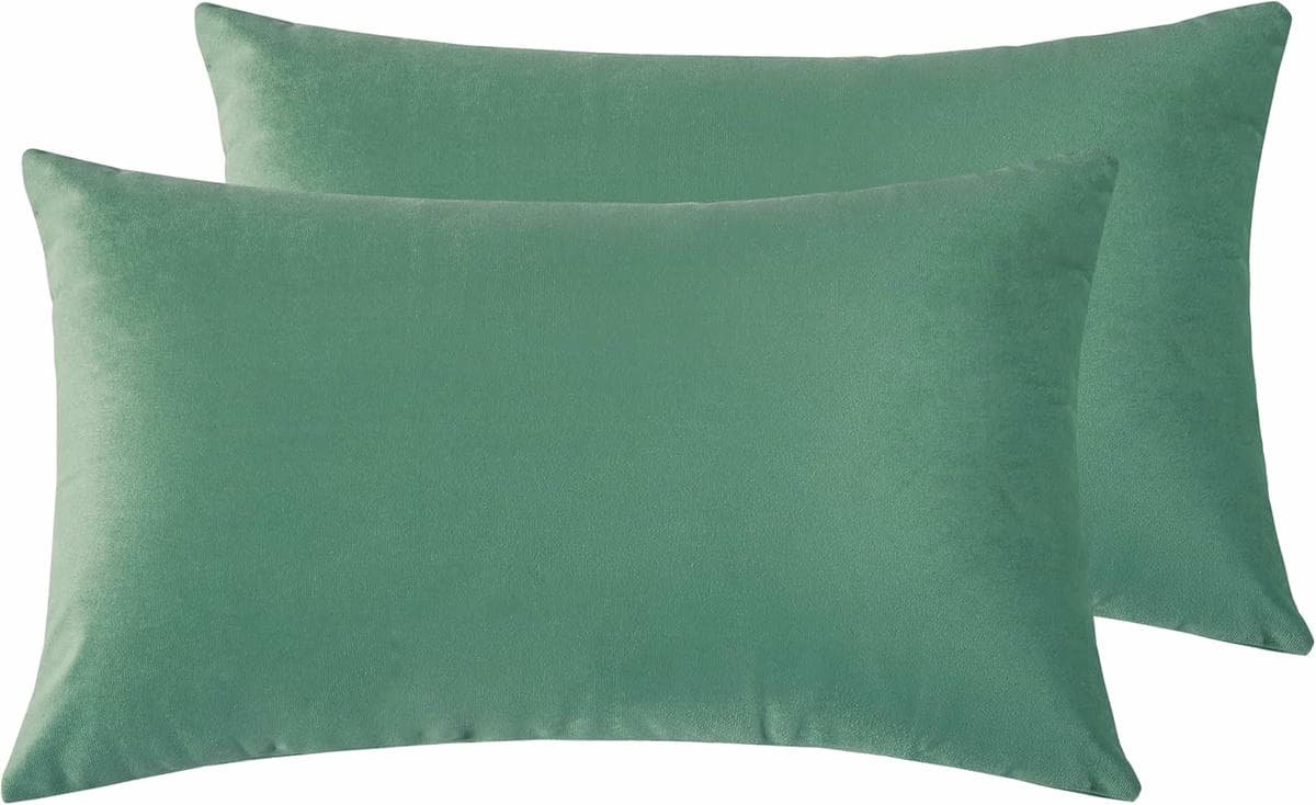 Twin-Pack Velvet Cushion Covers - Soft Microfibre Cushion Covers with Hidden Zipper (Sage, 30cm*50cm) - V439-VEL-SAGE-30 V439 VEL SAGE 30 202506190354 01