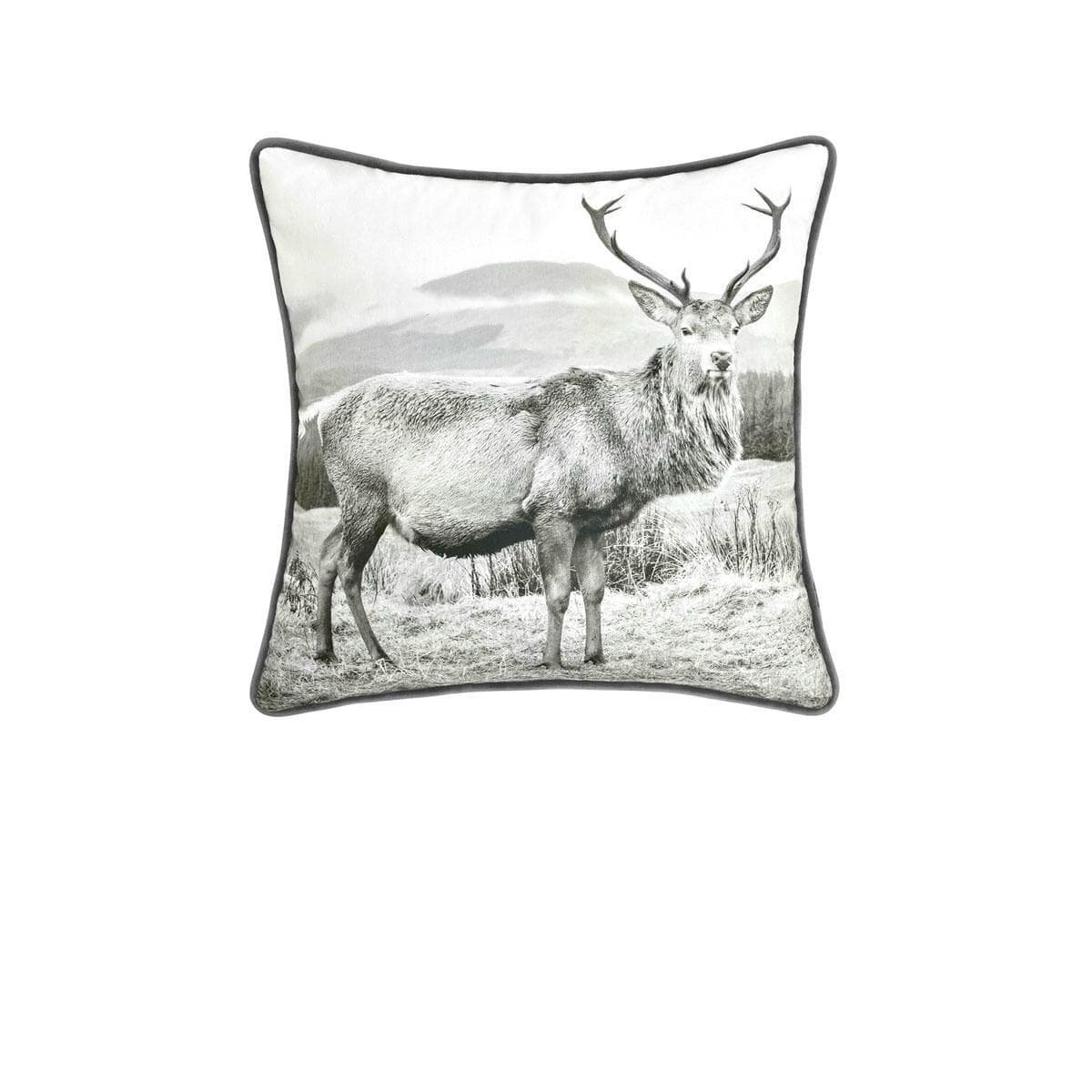 V442 BCA CUSHION ALPINESTAG TAUPE SQ 158440 00