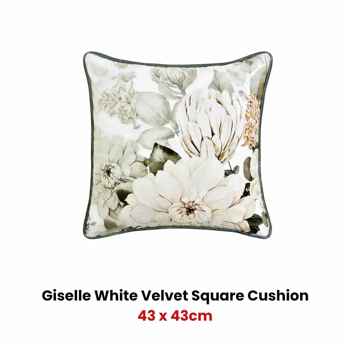 Bianca Giselle Square White Velvet Cushion - V442-BCA-CUSHION-GISELLE-WHITE-SQ V442 BCA CUSHION GISELLE WHITE SQ 158436 01