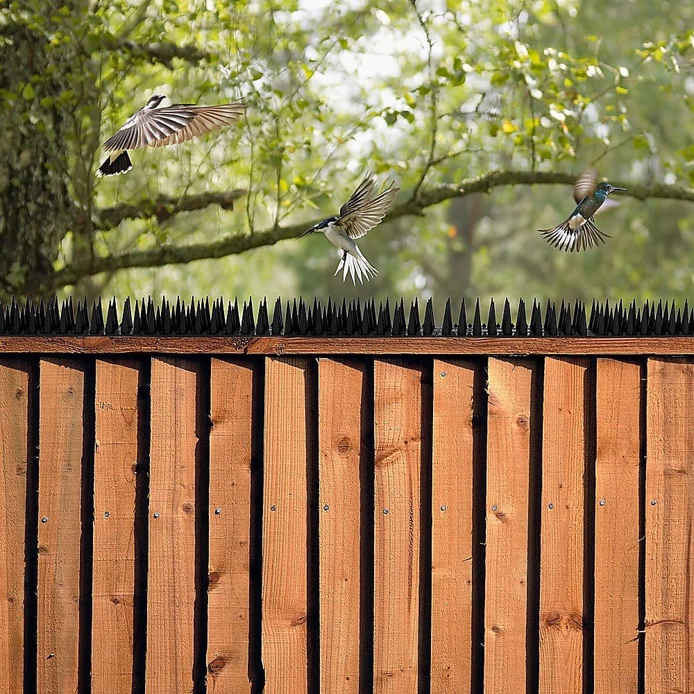 12pc Bird Spikes Human Cat Possum Mouse Pest Control Spiked Fence Wall Deterrent - V63-837291 12pc Bird Spikes Human Cat Possum Mouse Pest Control Spiked Fence Wall Deterrent - Image 2
