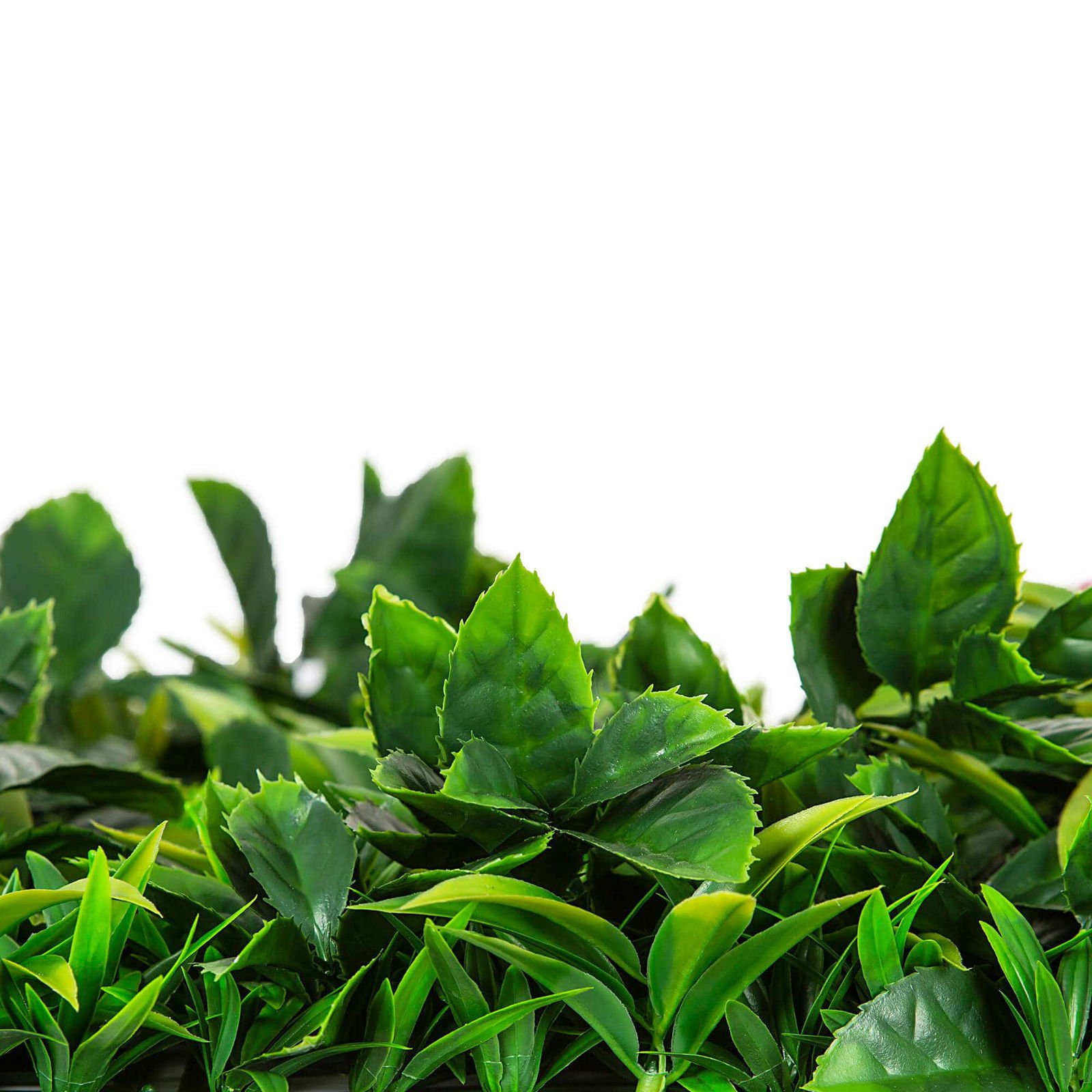 Native Tea Tree Vertical Garden / Green Wall UV Resistant 100cm X 100cm - V637-1019051 V637 1019051 202508251353 03