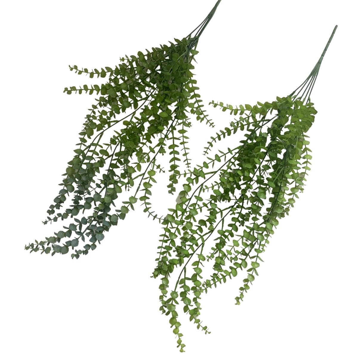 V637 AFL37113 202508251735 00