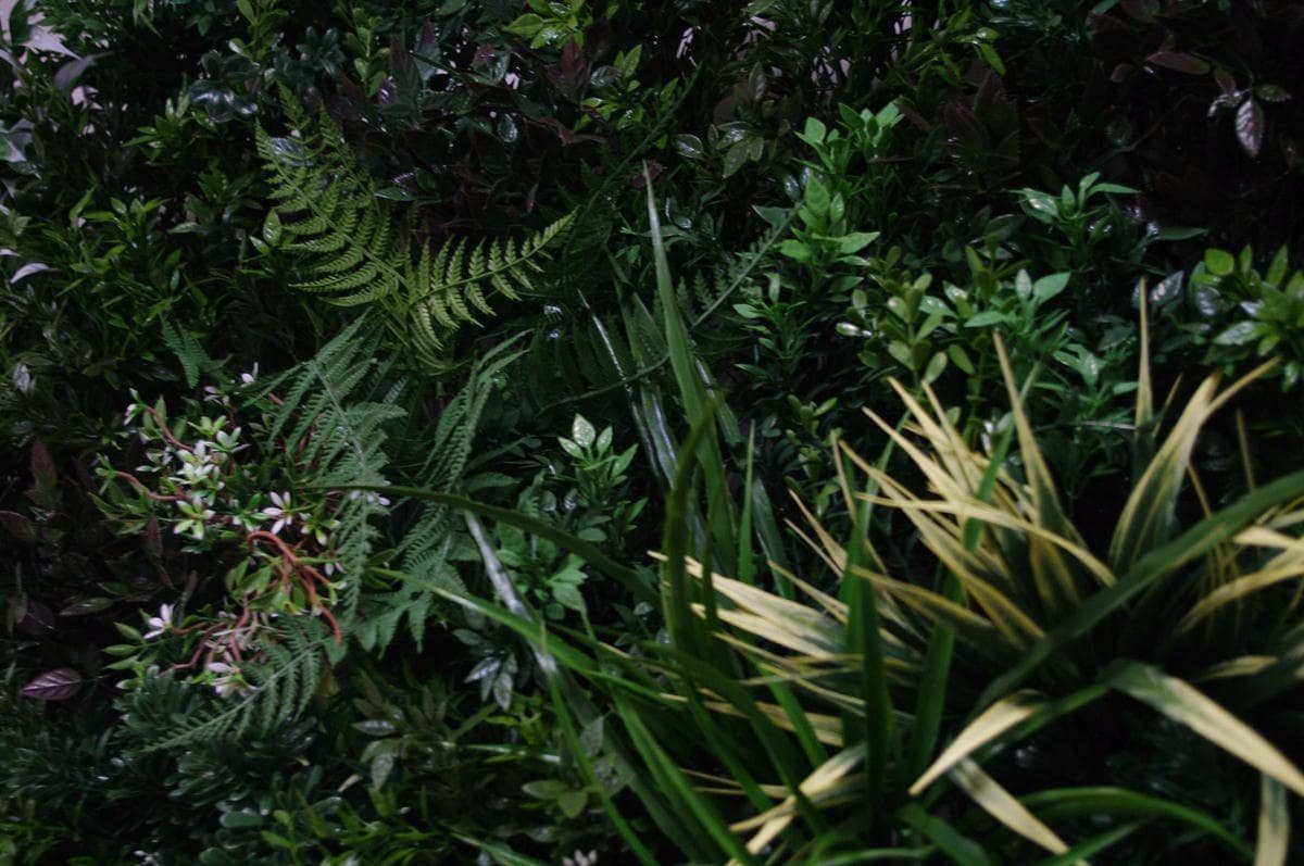 UV Stabilized Green Forest Select Range Vertical Garden 100cm X 100cm - V77-1014112 UV Stabilized Green Forest Select Range Vertical Garden 100cm X 100cm - Image 4