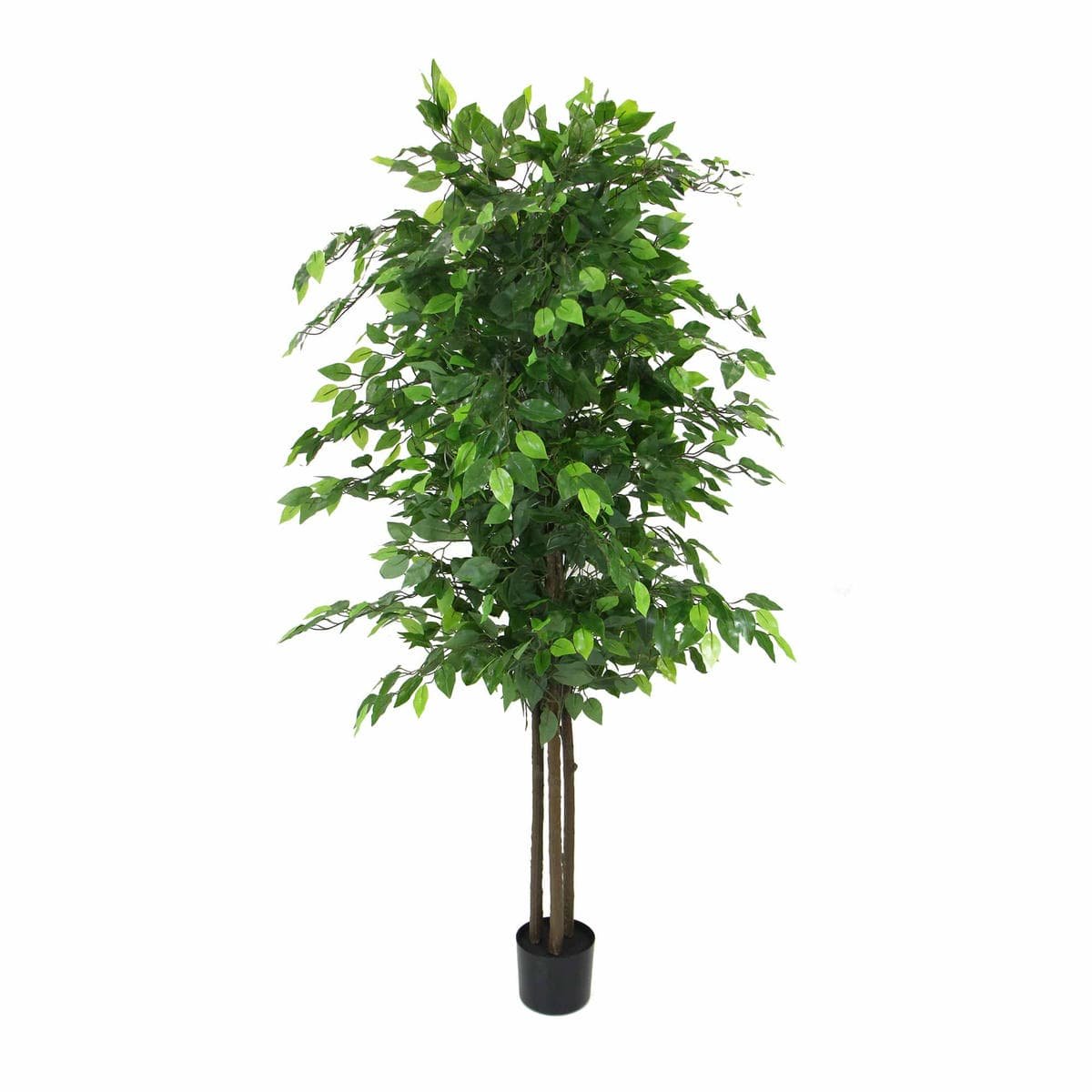 Artificial Ficus Tree 180cm Nearly Natural UV Resistant - V77-1020999UV Artificial Ficus Tree 180cm Nearly Natural UV Resistant