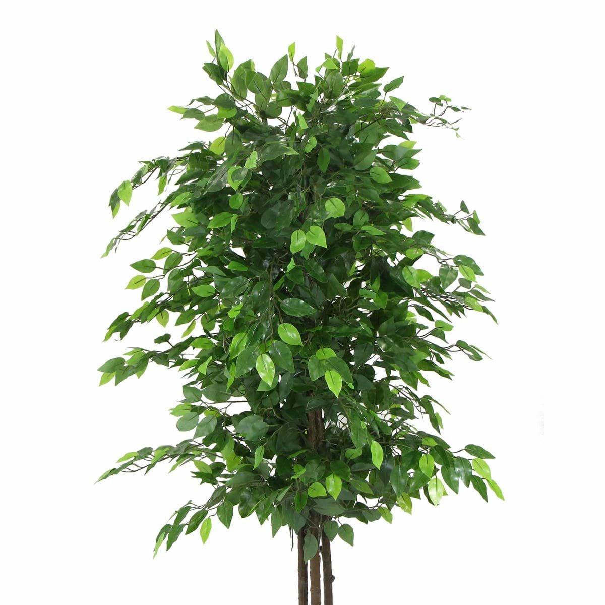Artificial Ficus Tree 180cm Nearly Natural UV Resistant - V77-1020999UV Artificial Ficus Tree 180cm Nearly Natural UV Resistant - Image 2