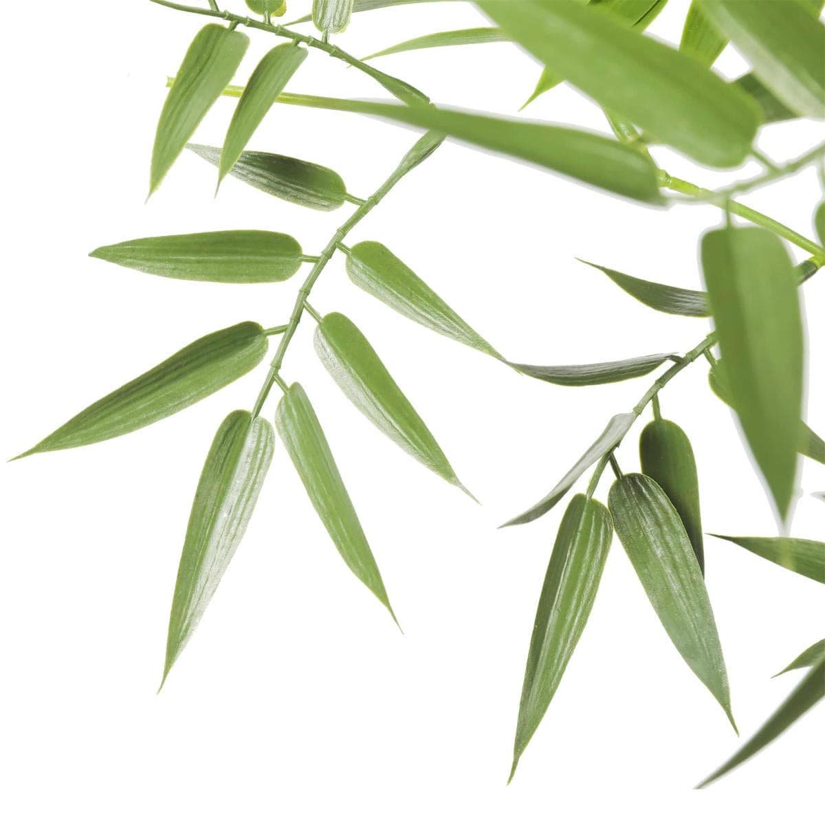 Premium Natural Cane Artificial Bamboo (UV Resistant) 180cm - V77-1197668 Premium Natural Cane Artificial Bamboo (UV Resistant) 180cm - Image 2
