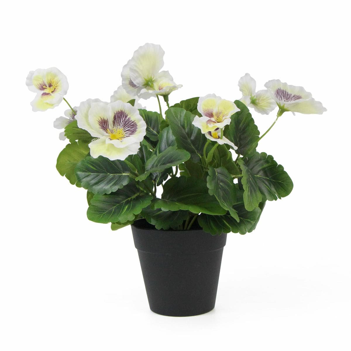 Mixed White Flowering Potted Artificial Pansy Plants 25cm - V77-751890126 Mixed White Flowering Potted Artificial Pansy Plants 25cm