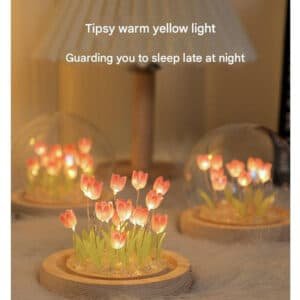 V888 ELOSUNG22481 202503251510 03