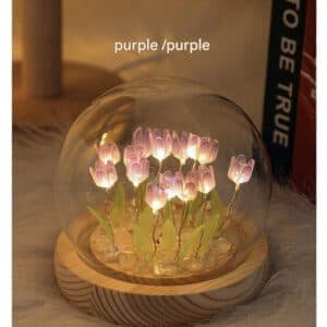 V888 ELOSUNG22484 202503251842 01