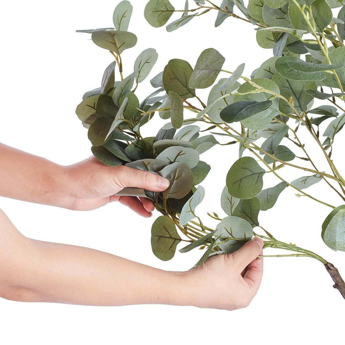 Artificial Eucalyptus Tree, 15.2cm Tall Faux Plant, Secure PE Material & Anti-Tip Tilt Protection Low-Maintenance Plant, Lifelike Green Fake Potted Tree for Home Office Decor Indoor Outdoor - V952-RZS6FTAS00006C43AV0 V952 RZS6FTAS00006C43AV0 202507141447 08