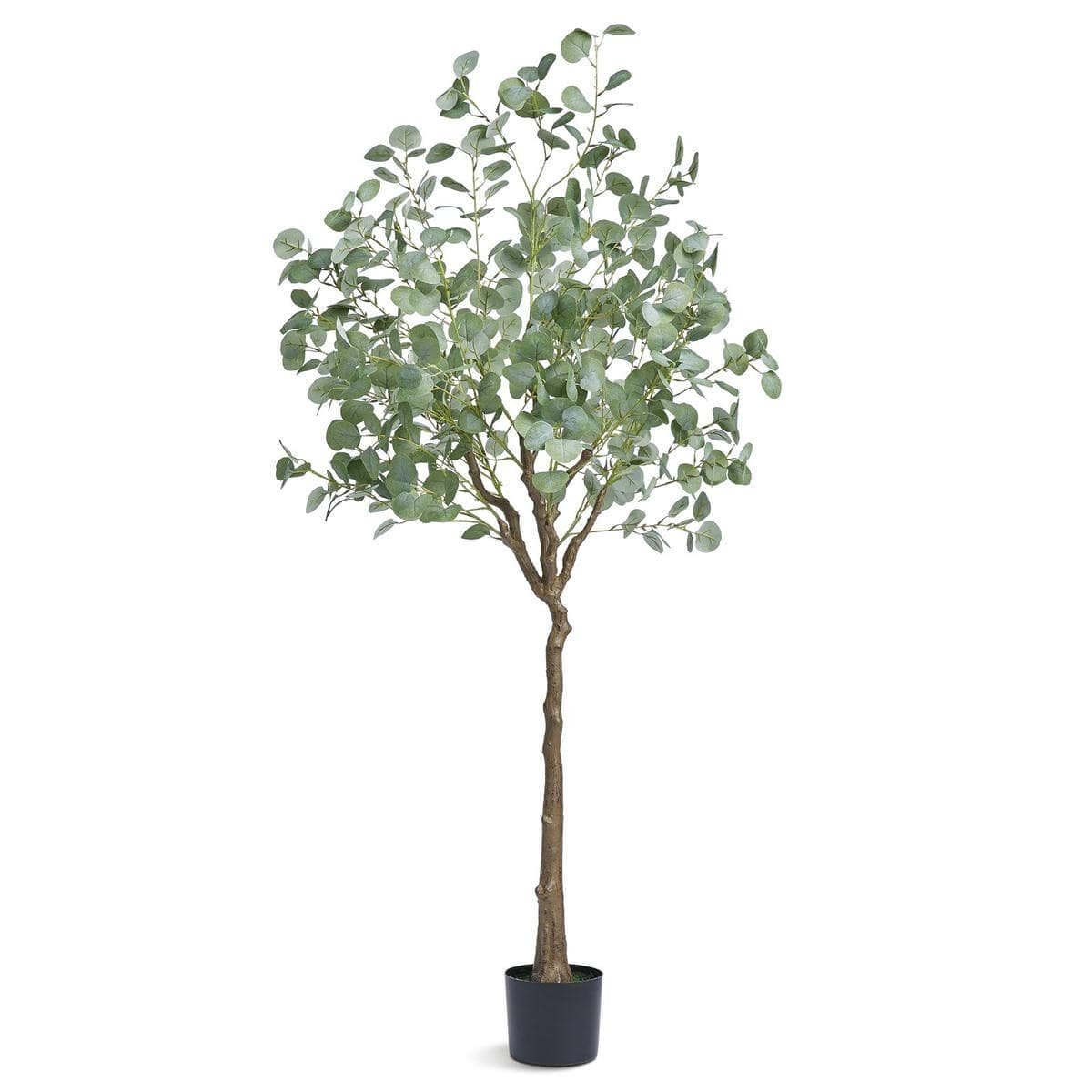 Artificial Eucalyptus Tree, 15.2cm Tall Faux Plant, Secure PE Material & Anti-Tip Tilt Protection Low-Maintenance Plant, Lifelike Green Fake Potted Tree for Home Office Decor Indoor Outdoor - V952-RZS6FTAS00006C43AV0 V952 RZS6FTAS00006C43AV0 202507141447 09