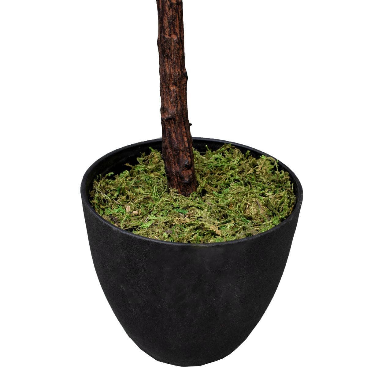 Tall Artificial Fiddle Leaf Fig 170cm - V77-1016113 Tall Artificial Fiddle Leaf Fig 170cm - Image 3