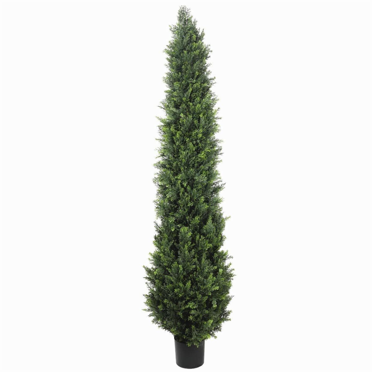 UV Resistant Cypress Pine Tree 1.8m - V77-1009528 UV Resistant Cypress Pine Tree 1.8m
