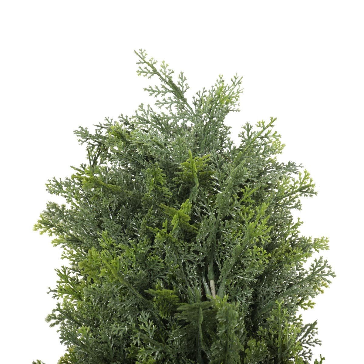 UV Resistant Cypress Pine Tree 1.8m - V77-1009528 UV Resistant Cypress Pine Tree 1.8m - Image 2