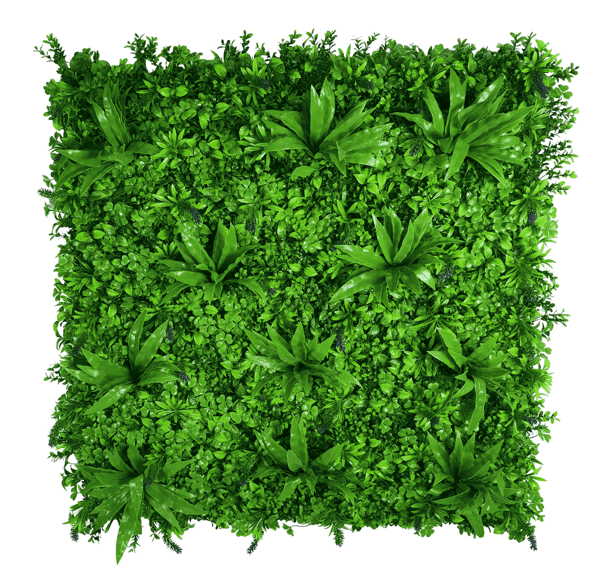 Lavandula Vertical Garden UV Stabilised - V77-1004614 Lavandula Vertical Garden UV Stabilised - Image 2