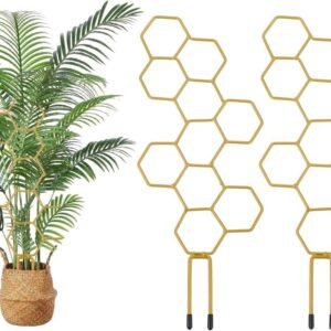 Climbing Plant Trellis 14 inch Metal Support for Vines Potted Plants and Flowers, Modern Design