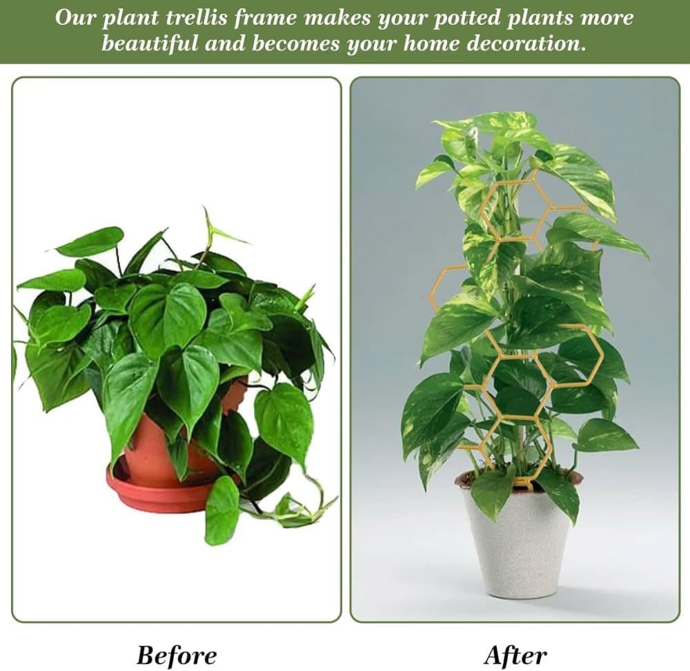 Climbing Plant Trellis 14 inch Metal Support for Vines Potted Plants and Flowers, Modern Design - V1188-MS-325-0897 Climbing Plant Trellis 14 inch Metal Support for Vines Potted Plants and Flowers, Modern Design - Image 7
