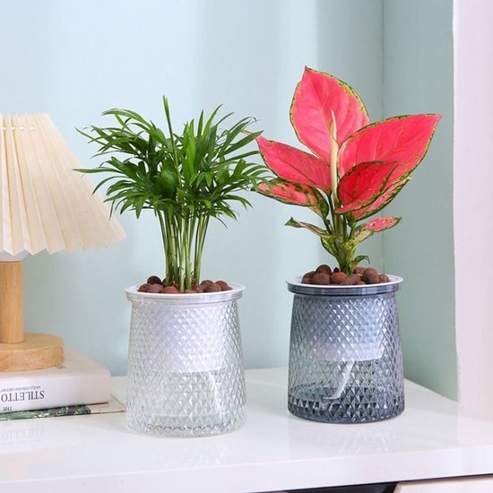 Flower pots - Plastic flower pots - sustainable garden supplies - hydroponic flower pots - visible water level - With absorbent cotton rope - Ø 10 x H 12 cm - Transparent - V1188-ZXY-131-249 Flower pots - Plastic flower pots - sustainable garden supplies - hydroponic flower pots - visible water level - With absorbent cotton rope - Ø 10 x H 12 cm - Transparent - Image 3