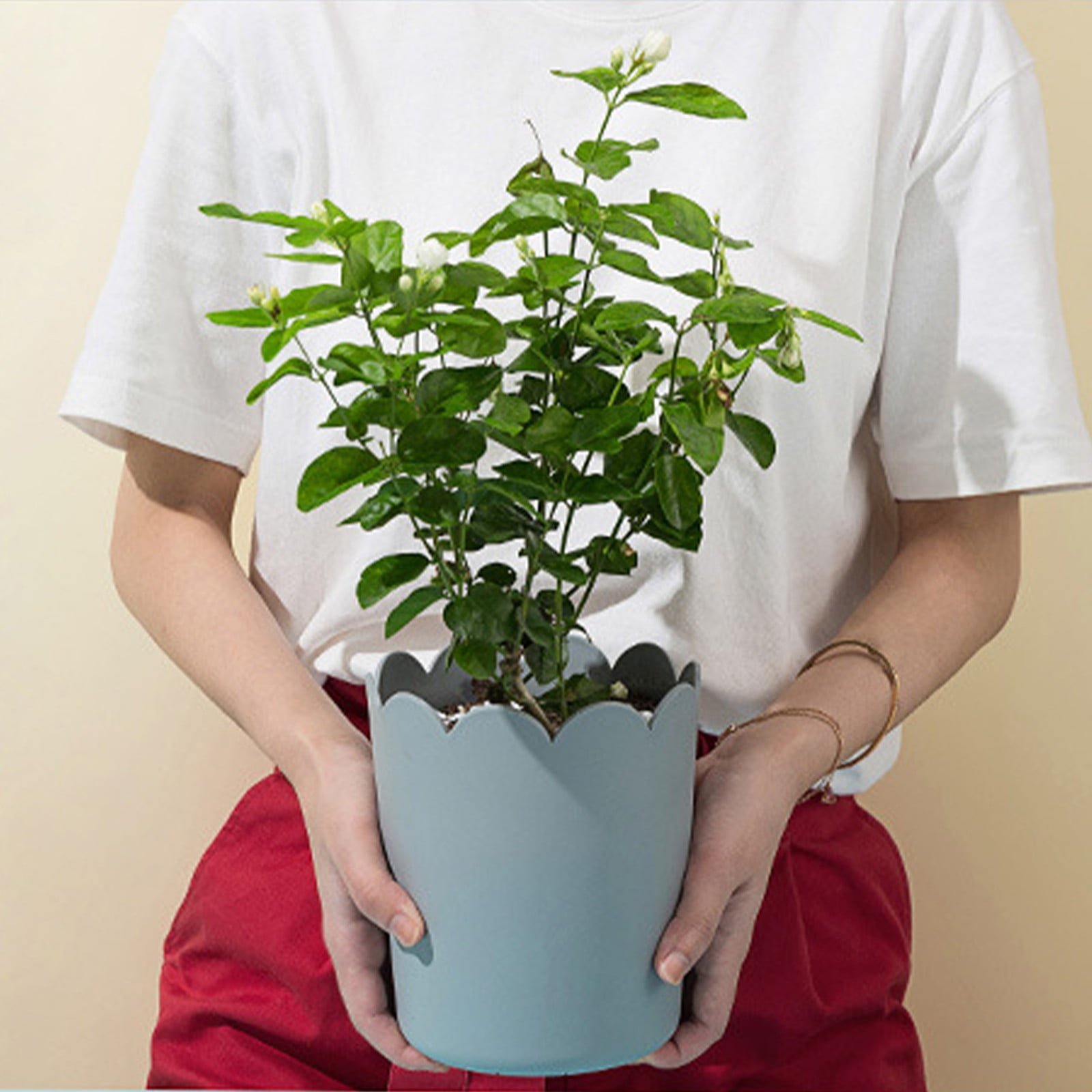 Jwdx Flower Pots Clearance, Garden Supplies Promotion! Plastic Plant Pots for Plants With Saucers Indoor Set of 1 Plastic Planters Modern Flower Pot With Hole for All House Plants Herbs Flowers Or4 Z5-GY2 - V1189-LWWAL-20260325-02909 Jwdx Flower Pots Clearance, Garden Supplies Promotion! Plastic Plant Pots for Plants With Saucers Indoor Set of 1 Plastic Planters Modern Flower Pot With Hole for All House Plants Herbs Flowers Or4 Z5-GY2 - Image 2