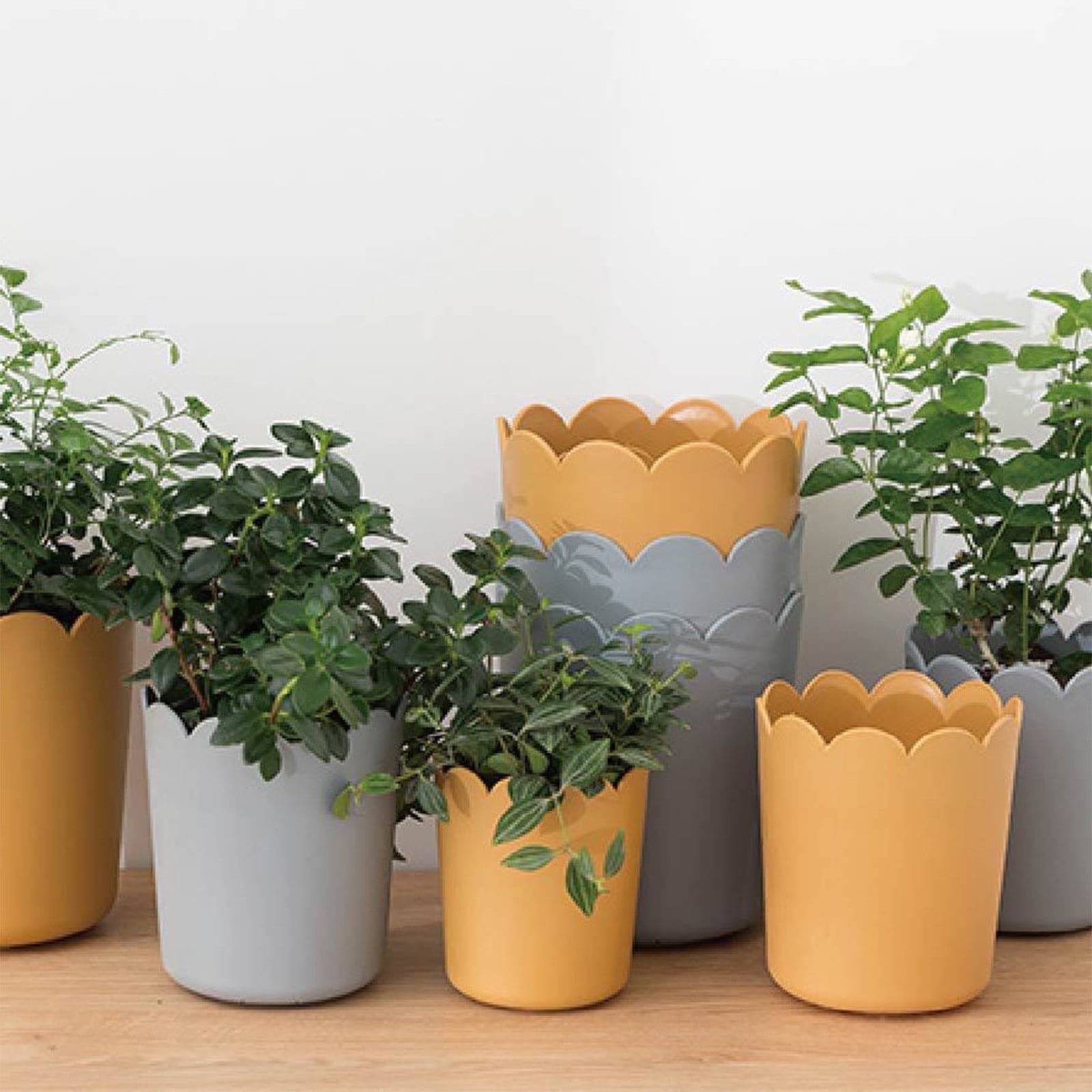 Jwdx Flower Pots Clearance, Garden Supplies Promotion! Plastic Plant Pots for Plants With Saucers Indoor Set of 1 Plastic Planters Modern Flower Pot With Hole for All House Plants Herbs Flowers Or4 Z5-GY2 - V1189-LWWAL-20260325-02909 Jwdx Flower Pots Clearance, Garden Supplies Promotion! Plastic Plant Pots for Plants With Saucers Indoor Set of 1 Plastic Planters Modern Flower Pot With Hole for All House Plants Herbs Flowers Or4 Z5-GY2 - Image 9
