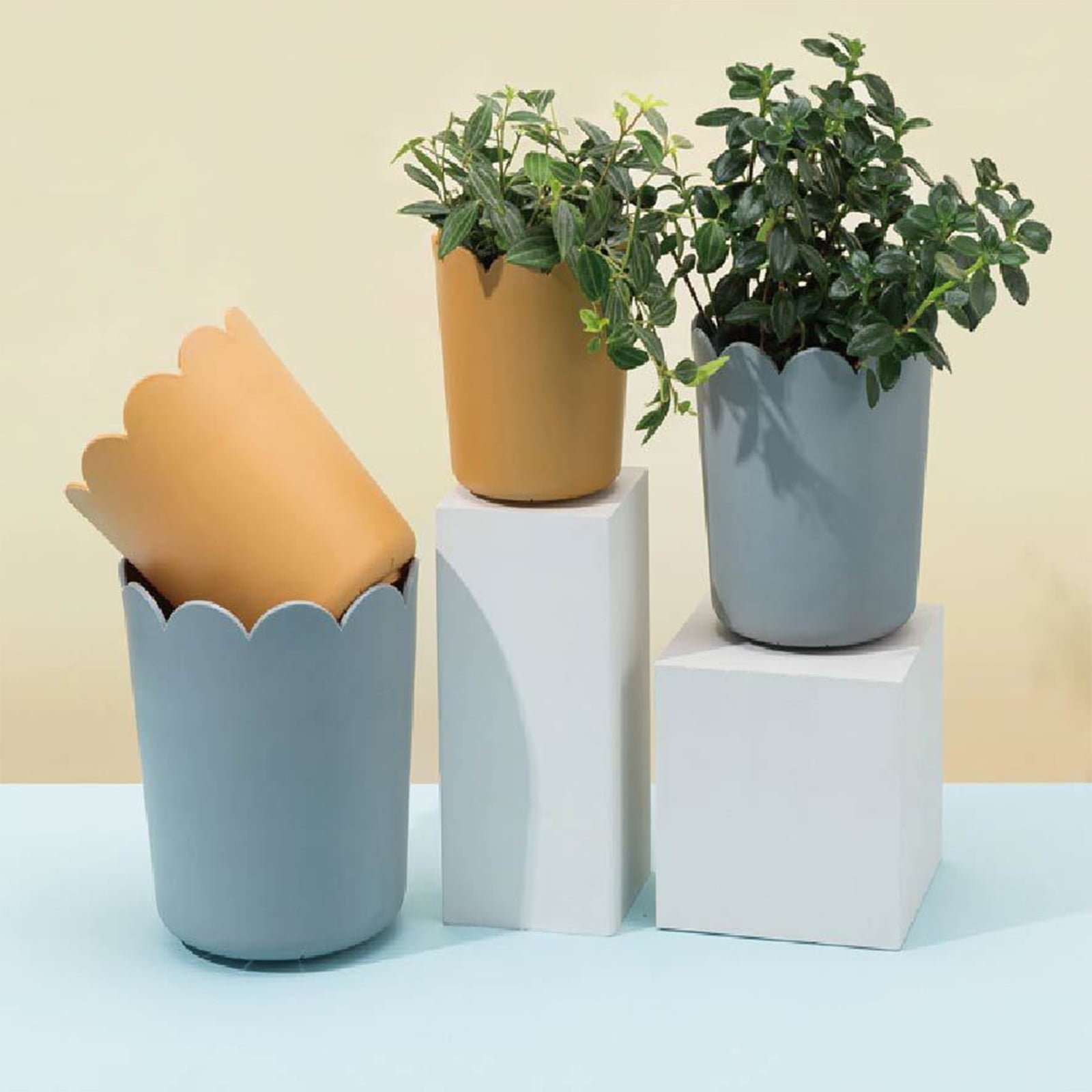 Jwdx Flower Pots Clearance, Garden Supplies Promotion! Plastic Plant Pots for Plants With Saucers Indoor Set of 1 Plastic Planters Modern Flower Pot With Hole for All House Plants Herbs Flowers Or4 Z5-OR1 - V1189-LWWAL-20260325-02910 Jwdx Flower Pots Clearance, Garden Supplies Promotion! Plastic Plant Pots for Plants With Saucers Indoor Set of 1 Plastic Planters Modern Flower Pot With Hole for All House Plants Herbs Flowers Or4 Z5-OR1 - Image 7
