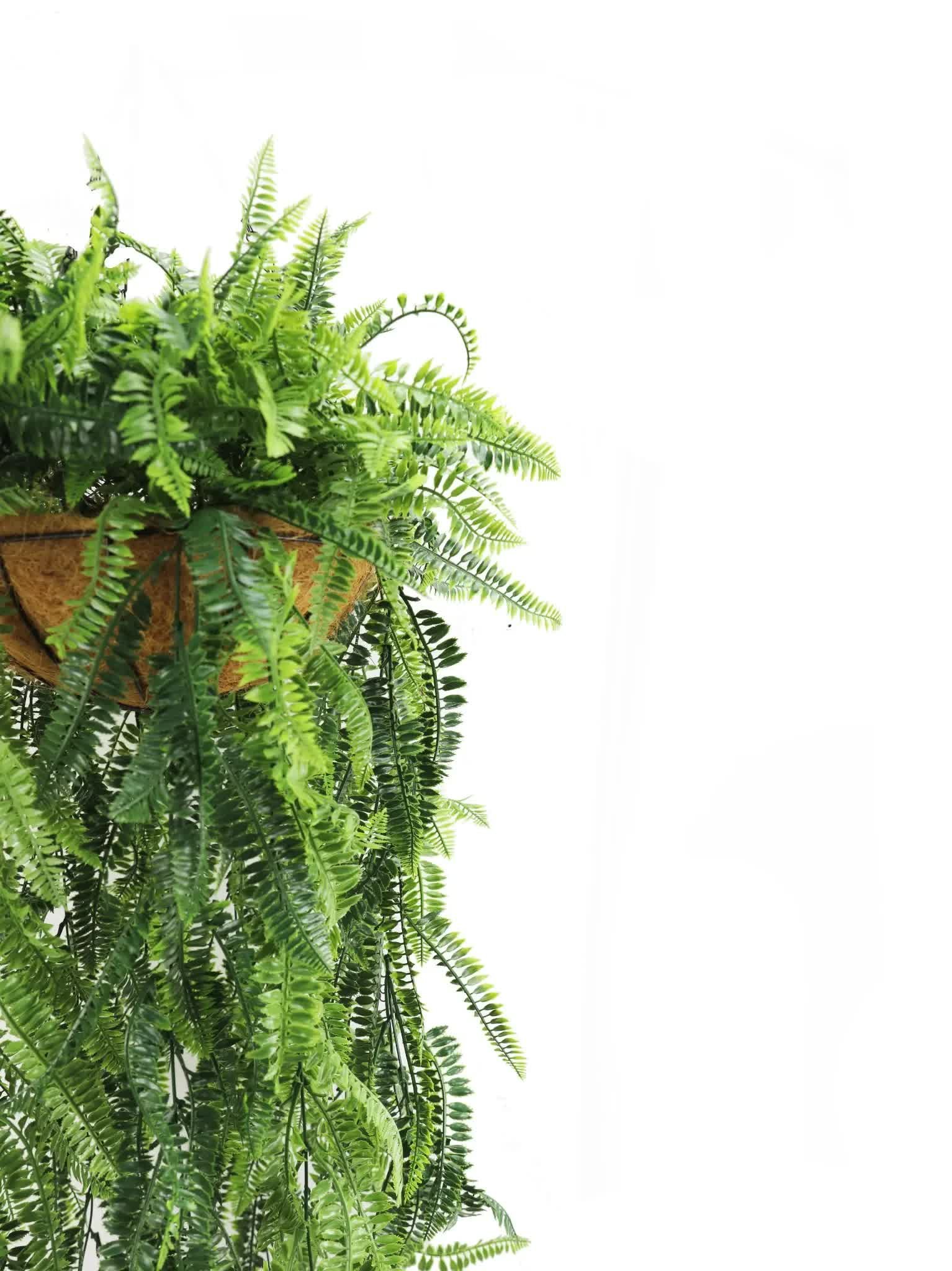 Artificial Hanging Fern Basket UV Resistant 45cm x 125cm - V637-DP27938 Artificial Hanging Fern Basket UV Resistant 45cm x 125cm - Image 2
