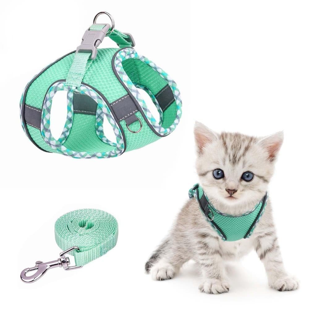 Adjustable Dog and Cat Harness with Leash, Reflective Soft Secure Fit, M, Green