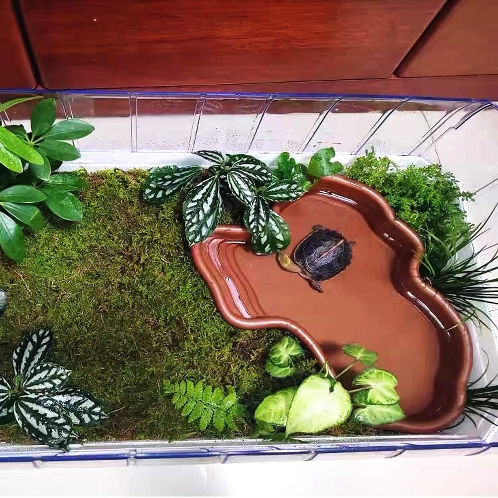 Extra Large Reptile Bathing Pool Reptile Feeding Dish Water Bowl with Ramp Aquarium Ornament for Gecko, Snake, Turtle, Bearded Dragon, Lizard Bath (Brown) - V1192-AZ-W-2657 Extra Large Reptile Bathing Pool Reptile Feeding Dish Water Bowl with Ramp Aquarium Ornament for Gecko, Snake, Turtle, Bearded Dragon, Lizard Bath (Brown) - Image 2