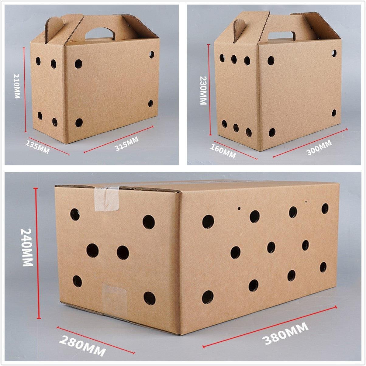 10PCS Disposable Cardboard Pet Carrier - 3 Sizes for Small Animals - 38*28*24CM - V528-SM00164-10PCS-38-28-24-855926 10PCS Disposable Cardboard Pet Carrier - 3 Sizes for Small Animals - 38*28*24CM - Image 3