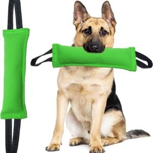 Green Durable 2-Pack Tug-of-War Dog Training Toy - Tear-Resistant, Safe & Interactive for All Breeds