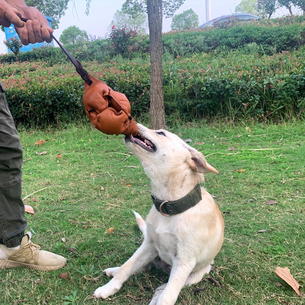 Red Durable Leather Dog Training Ball with Loop Handle - Interactive Bite & Tug Toy for Playful Pups - V888-ELOSUNG27885 Red Durable Leather Dog Training Ball with Loop Handle - Interactive Bite & Tug Toy for Playful Pups - Image 5